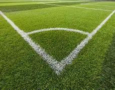 亚冬会男子,冰球,组激战,香港赛马会,赛程安排,赛果查询,马匹资料,比赛分析