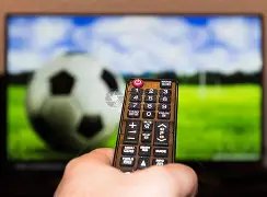 中国女排超,级联赛,级半决赛首,香港赛马会,赛程安排,赛果查询,马匹资料,比赛分析